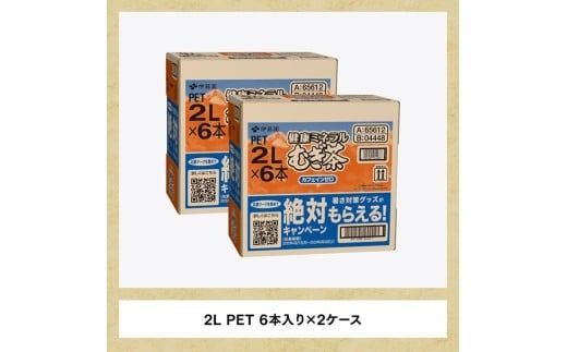 健康ミネラル むぎ茶2L×6本×2ケースPET [12ケ月定期便]（麦茶） [D07359t12]