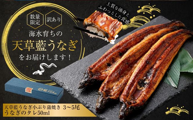 【数量限定】 【訳あり】 【ミシュラン星付きのプロが愛用】海水育ちの 天草 藍うなぎ 小ぶり 蒲焼 500g（3～5尾）  養殖期間中 無投薬 鰻 ウナギ うなぎ うなぎ蒲焼 鰻の蒲焼 国産 【2026年6月下旬より順次発送予定】