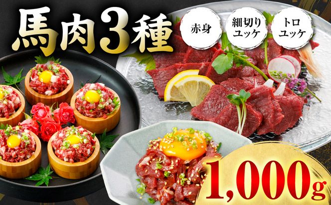 馬肉 3種1000g (赤身400g、トロユッケ300g、細切りユッケ300g) 馬 馬焼き レア ユッケ 冷凍 新感覚 特殊加工 熟成 加熱加工 低温調理 熊本県 八代市