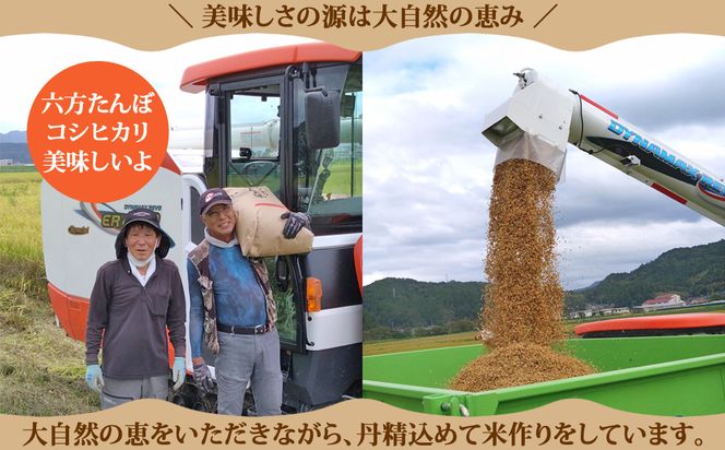 新米 六方たんぼ コシヒカリ 農薬不使用（白米：10kg）令和8年産 / 米 お米 精米 コシヒカリ コウノトリ育む農法