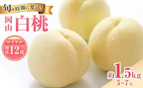 【2026年先行受付】 白桃 特秀 ロイヤル 中玉 約1.5kg(5～7玉)岡山県産 桃 もも モモ 御中元 ギフト 御礼 プレゼント 御礼 御祝 御供 果物 くだもの フルーツ