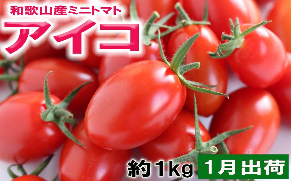[2027年1月出荷分]和歌山産ミニトマト「アイコトマト」約1kg(M・Lサイズおまかせ) [TM263] 303446_XH92286
