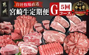 宮崎牛定期便(5回お届け) Gコース_N25-007-T5 宮崎牛 モモ リブロース ロース 肩ロース ウデ バラ カルビ イチボ 友三角 サーロイン ステーキ サイコロ ブロック スライス 焼肉