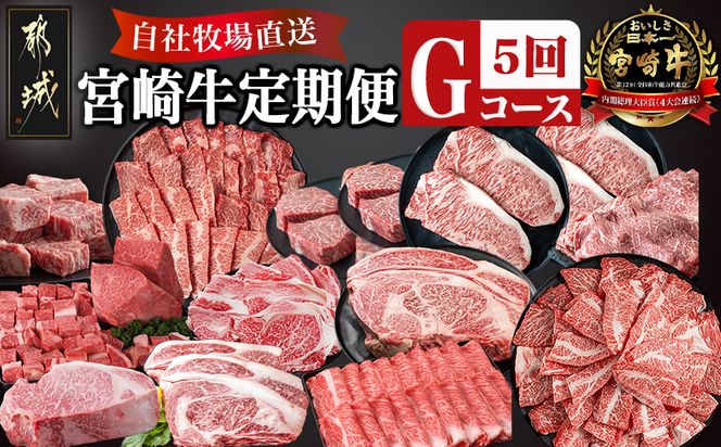 宮崎牛定期便(5回お届け) Gコース_N25-007-T5 宮崎牛 モモ リブロース ロース 肩ロース ウデ バラ カルビ イチボ 友三角 サーロイン ステーキ サイコロ ブロック スライス 焼肉