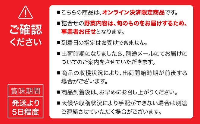 【2026年発送】【先行予約】北海道 伊達市 産直・旬のおまかせ野菜詰合せ 6〜8種 55250527