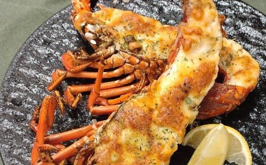 【捌き方レシピ・軍手付き】活きイセエビ漁師直送！！１.５kg以上（2～4尾、3～4人前） 伊勢エビ 伊勢海老 えび 産地直送 送料無料 エビフライ 刺身 高知県 室戸市