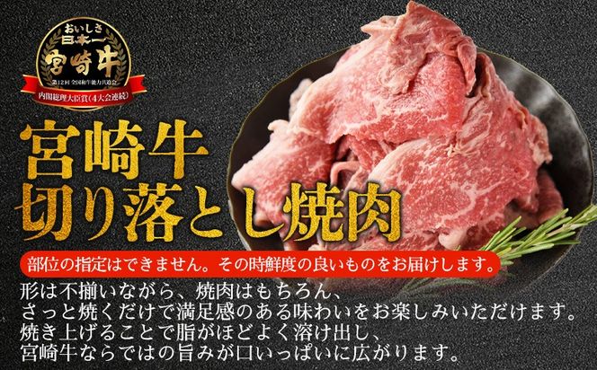 ＜訳あり 宮崎牛 切り落とし焼肉 合計900g＞入金確認後、14営業日以内に順次発送 【 焼肉用 焼き肉 やきにく 訳アリ品 わけあり A5等級 ランク 高級 お肉 和牛 黒毛和牛 ブランド牛 柔らかい お家焼肉 BBQ バーベキュー ご褒美 新鮮 鮮度 】【b1100_no】