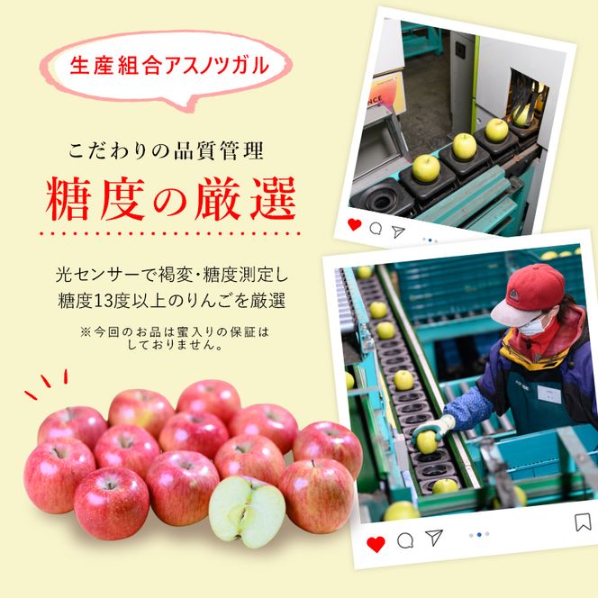 りんご【11月～2月発送】糖度13度以上 シナノスイート おもてなし用 家庭用 約3kg【青森りんご】
