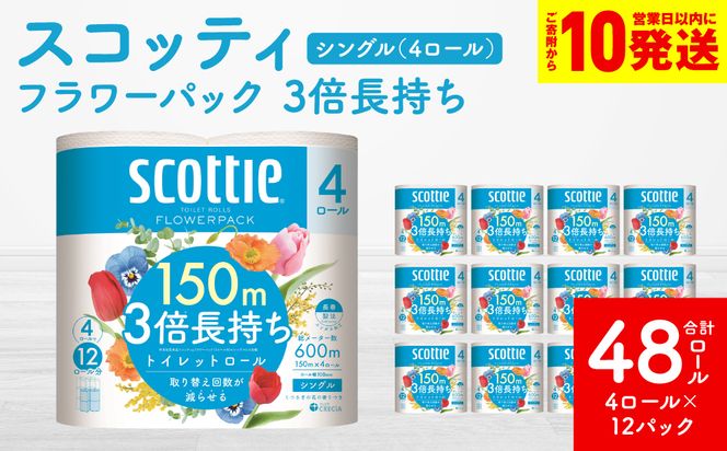 �y�F�{������s�z�y�X�R�b�e�B�z �t�����[�p�b�N 3�{������ 4���[�� �V���O�� ×12�p�b�N ���v48���[�� �����