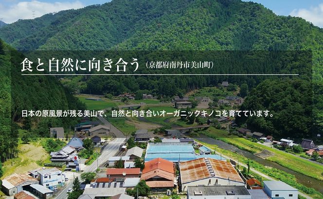 京都府産オーガニック　タモギタケ（6パック入り約720g）