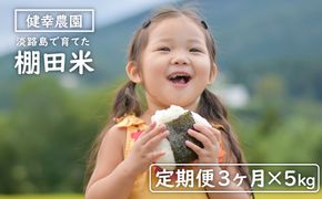 【定期便】健幸農園の棚田米 5kg×3ヵ月セット 精米 白米 農家直送