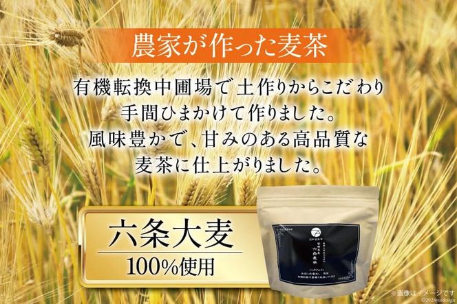 お茶 六条麦茶 ( 10g 20包 ) 10袋 [日向百生会 宮崎県 日向市 452061128] 麦茶 むぎ茶 水出し 煮出し ティーバッグ 国産 ノンカフェイン