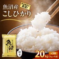 【令和8年産 先行予約】「3カ月定期便」食味鑑定士厳選！魚沼産こしひかり 20kg（5kg×4）×3回 米 コシヒカリ 定期 新潟県 十日町市