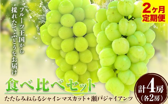 【2025年産先行予約】【2回定期便】食べ比べセット たたらみねらるシャインマスカット+瀬戸ジャイアンツ 各2房 2.6kg以上《9月上旬-10月下旬頃出荷》岡山県 笠岡市 マスカット ぶどう ブドウ 葡萄 フルーツ 果物 たたらみねらる 食べ比べ セット 定期便---Y-07---