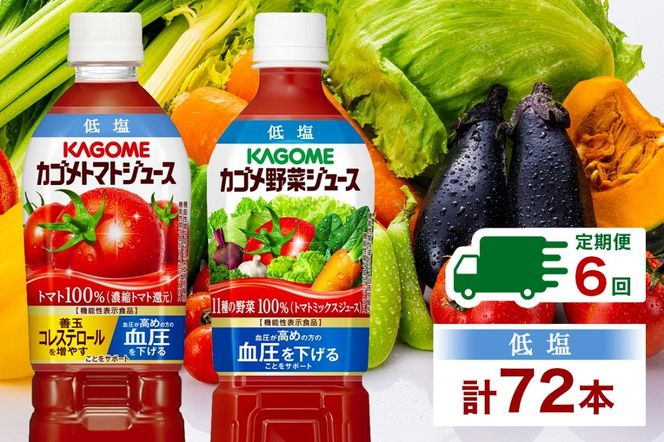 ns038-030 定期便 2ヵ月毎全6回 カゴメ トマトジュース & 野菜 ns038-030 定期便 2ヵ月毎全6回 カゴメ トマトジュース & 野菜