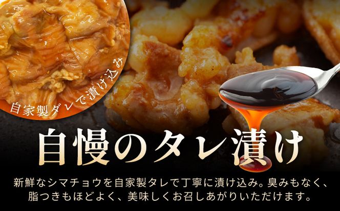 099H3171 シマチョウ タレ漬 900g(300g×3パック) テッチャン シマ腸 小分け 時短 焼くだけ 簡単