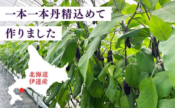 ＜先行予約＞北海道伊達産 長ナス 3kg 詰め [2026年発送]【ogr-001】