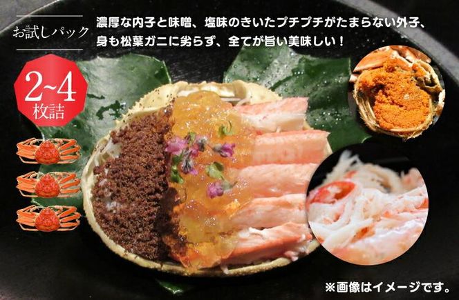 923.【活】鳥取県産　訳あり　良品セコガニ　お試しパック　約500ｇ（2～4枚）《かに カニ 蟹 セコガニ》※2025/11/6～2025/12/29に順次発送予定※着日指定不可  離島不可（北海道、沖縄本島は配送可能） 313726_AL003VC02