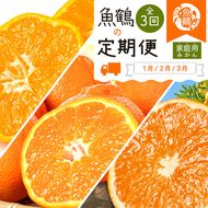 〈定期便〉【1・2・3月 全3回】紀州和歌山産旬のご家庭用柑橘セット(みかん・不知火・清見) ※離島への配送不可