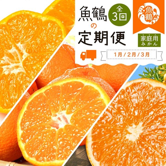 〈定期便〉【1・2・3月 全3回】紀州和歌山産旬のご家庭用柑橘セット(みかん・不知火・清見) ※離島への配送不可