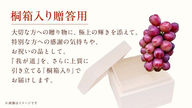 【桐箱入り】 我が道 ２房 【2026年9月上旬発送開始】(茨城県共通返礼品：大子町) シャインマスカット ウインク 葡萄 ブドウ ぶどう 果物 フルーツ 希少 新品種 贈答用 贈り物 ギフト プレゼント