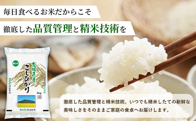 【送料無料！精米無料！】茨城県産 コシヒカリ 10kg 冷蔵保存米 定期便2ヶ月】【令和8年産】茨城コシヒカリ 10kg（5kg×2袋）【精米