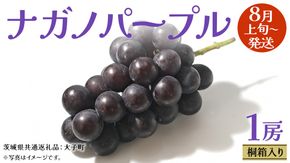 【 桐箱入り 】 ナガノパープル 1房 【2026年8月上旬発送開始】(茨城県共通返礼品：大子町) ぶどう 葡萄 ブドウ 果物 フルーツ 果物 贈答用 ギフト 贈り物