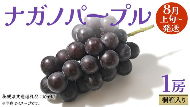 �y��錧���v�s�z�y �˔����� �z �i�K�m�p�[�v�� 1�[ �y2026�N8����{�����J�n�z(��錧���ʕԗ�i�F��q��) �Ԃǂ� ���� �u�h�E �ʕ� �t���[�c �ʕ� �����p �M�t�g ���蕨