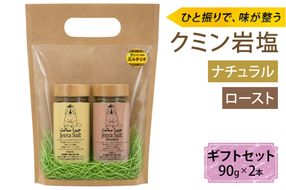 ジーラソルト クミン岩塩(ロースト)クミン岩塩(ナチュラル) 2本セット｜スパイス 調味料 ロースト ナチュラル クミン 塩 岩塩 香辛料 ミックススパイス エスニック 料理用 下味 味付け BBQ アウトドア 肉料理 野菜料理 [2621]