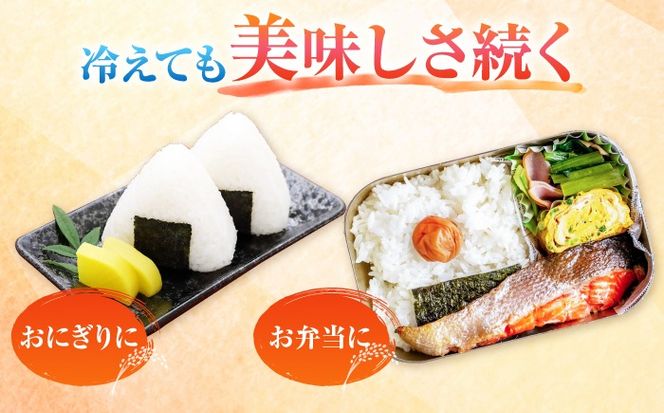【3回定期便】あいちのかおり 白米 10kg×3か月 / 脇野コンバイン[AECP007]