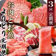 定期便3回配送　お肉とお魚よりどり定期便 LL-6016 【1498567】