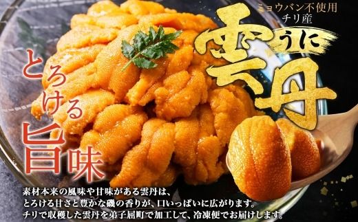 3209.うに 海鮮 ウニ チリ産 200g 冷凍 雲丹 うに 送料無料 北海道 弟子屈町