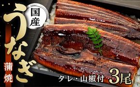 国産 うなぎ蒲焼 3本 セット 合計 約300g 数量限定   	Y009