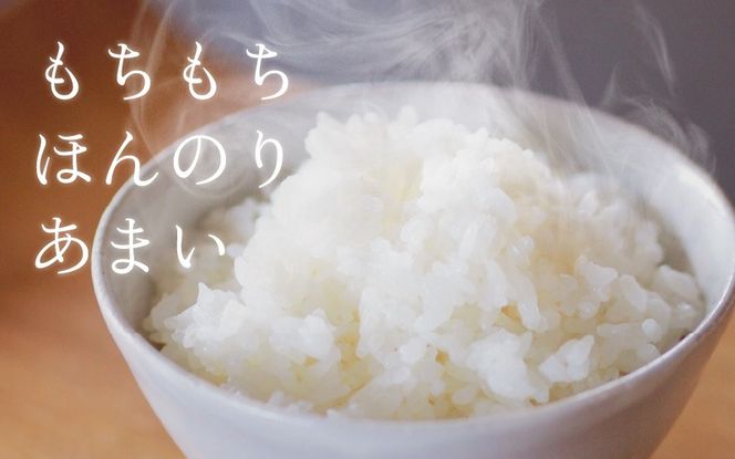 【訳あり】ほたるいか米（精米20kg）×12回 計240kg【12ヶ月定期便】