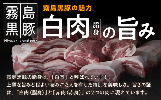 霧島黒豚 3種の煮込みハンバーグ 12個セット (デミグラスソース仕立て・和風おろしソース仕立て・大人の照焼きソース仕立て)_11-2803_(都城市) 脂身 厳選 霧島黒豚 じっくり 3種類 ソース ふっくら 煮込みハンバーグ 小分けセット！ ハンバーグ 豚肉