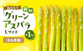 【2026年発送】ふらの産 採れたて グリーンアスパラ(Lサイズ)約1kg [清水農園] アスパラ アスパラガス Lサイズ 野菜 新鮮 甘い 北海道 富良野 ふらの