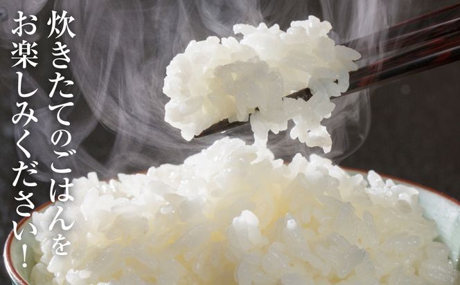 【先行予約】 《令和8年産》 熊本県産 きぬひかり 10kg (5kg×2袋) 米 お米 精米 白米 ごはん ご飯 おにぎり お弁当 熊本県 八代市 【2026年9月上旬より順次発送】