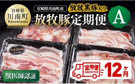 [12ヶ月定期便]宮崎県川南町産豚肉 放牧豚定期便A(放牧黒豚入り) [ 豚 肉 豚肉 黒豚 国産 九州産 宮崎県産 川南町 加工品 セット 送料無料 ][C08106t12]