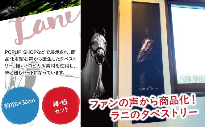 【ラニ】タペストリー BRTV402