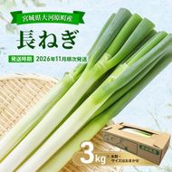 長ねぎ 約3kg 新鮮 野菜 ねぎ 葱 野菜 やさい 新鮮 鍋 薬味 焼きネギ 業務用 家庭用 宮城県 大河原町