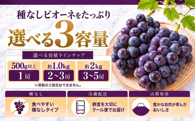 【2027年 先行予約】 山梨県産　種なしピオーネ 選べる容量 500g以上 約1kg 約2kg 1房 2～3房 3～5房  ピオーネ 種無し ブドウ ぶどう 葡萄  フルーツ 果物 贈答 プレゼント FB002_057_058