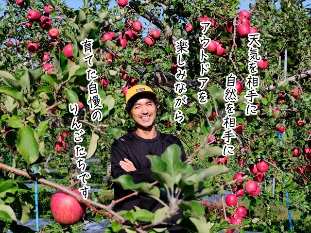 《先行予約》 りんご 訳あり サンふじ 青森県産 約 5kg  (12～22玉） 家庭用 フルーツ 果物 ふじ 産地直送 お取り寄せ 送料無料 青森県 鰺ヶ沢町 《西樹園》