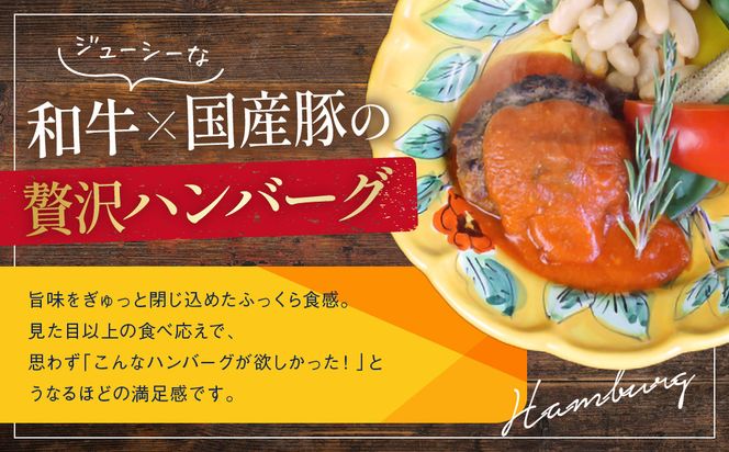 【ダニエルズ】和牛と国産豚のハンバーグ トマト煮込み 5個入り｜京都 本格イタリアン 有名店 人気［ 簡単 時短 レンチンのみ 冷凍 グルメ 人気 おすすめ ギフト プレゼント 贈答 お取り寄せ 通販 送料無料 ふるさと納税 ］ 261009_A-AAE003
