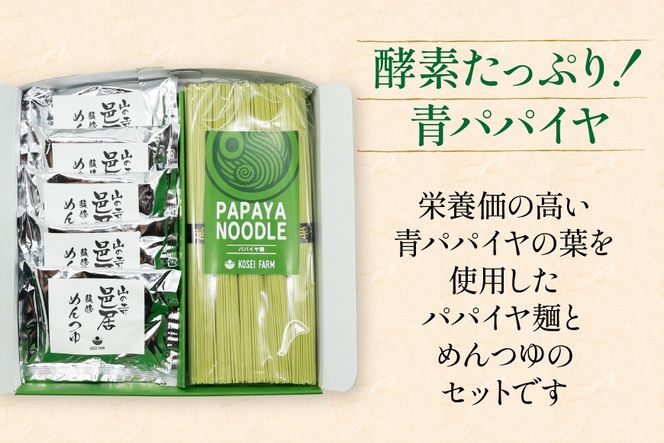 AI131 パパイヤ麺 5食 セット めんつゆ付 [ 麺 乾麺 手延べ麺 素麺 手延べそうめん 冷麺 にゅうめん にゅう麺 無農薬 青パパイヤ ヌードル コウセイプランニング 長崎県 島原市 ]