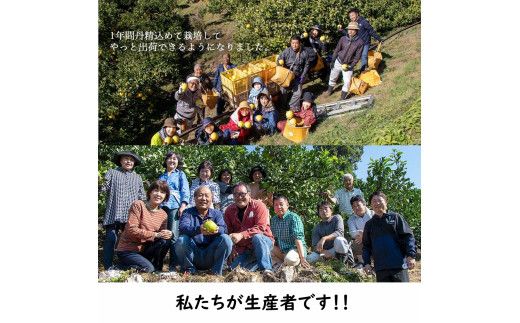 【先行予約】生産者直送 土佐文旦 約4.5kg [サイズおまかせ 2L～4L] 家庭用＜2027年1月下旬より発送＞  家庭用 文旦 柑橘 みかん フルーツ 果物 産地直送 お取り寄せ【土佐文旦産直協同組合】