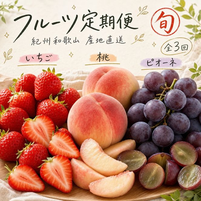 【2・7・9月 全3回】紀州和歌山産旬のフルーツセット（いちご・桃・ピオーネ）【UT95】 303446_XF91152