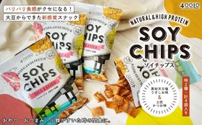 24-01．パリパリ食感がクセになる！大豆からできたソイチップス4袋セット（高知天日塩うすしお味・土佐かつお味 各2袋）