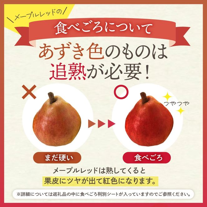 【令和6年産 先行予約】西洋梨メープルレッド2kg　秀品　化粧箱入り 山形県 東根市 東根農産センター提供 hi027-140