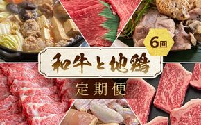 【6回定期便】訳あり 和牛と地鶏 毎月交互にお届け＜京都亀岡丹波山本×ひら山＞京の肉＆地鶏丹波黒どり・丹波赤どり お楽しみセット≪生活応援 緊急支援 特別返礼品 不揃い≫◇※2025年2月頃発送予定（初回分）