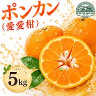 【先行予約】 ポンカン 約5kg 愛愛柑 10000円 ぽんかん みかん 蜜柑 果物 くだもの 果実 柑橘 ミカン mikan フルーツ ゼリー ジュース 甘い ジューシー デザート ブランド 特産品 国産 産直 産地直送 ビタミン 美容 健康 糖度 愛媛県 愛南町